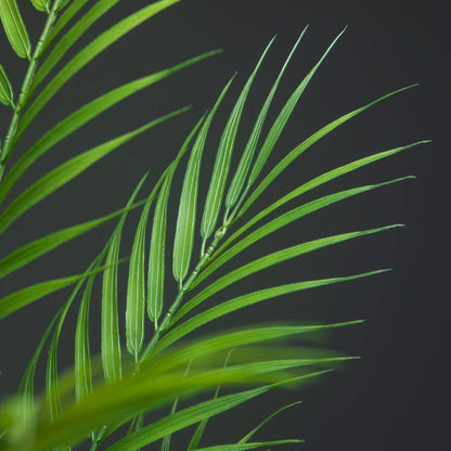 Plante Artificielle | AydenPlasticTree™ - SC Jardin