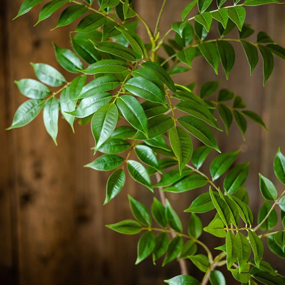 Plante artificielle | ElegantFICUS™ - SC Jardin