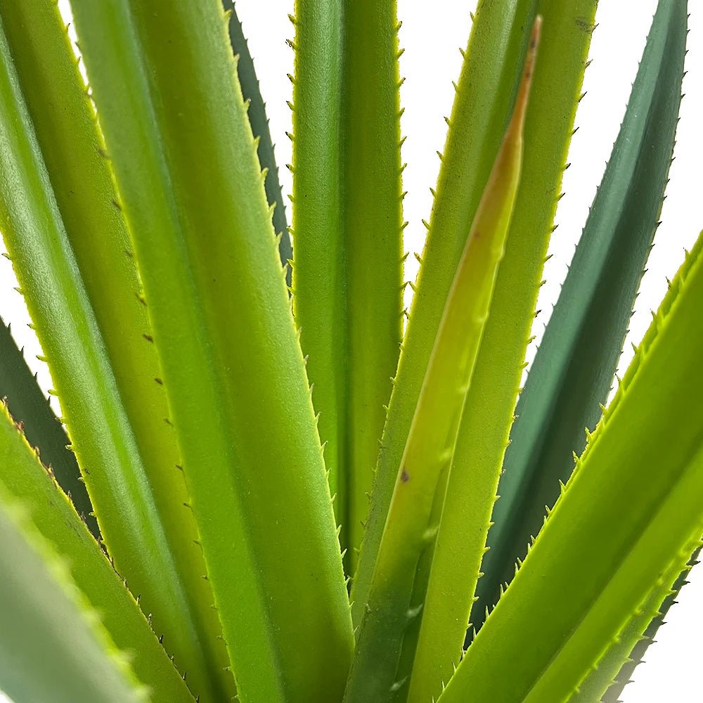Plante Artificielle | IlyaAgave™ - SC Jardin
