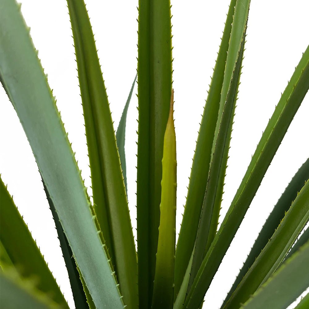 Plante Artificielle | IlyaAgave™ - SC Jardin
