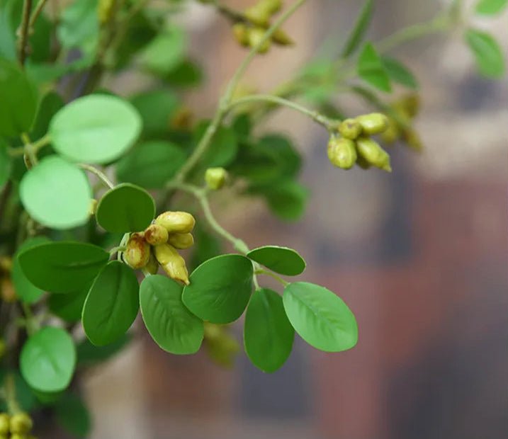 Plante artificielle | NoraPachy™ - SC Jardin