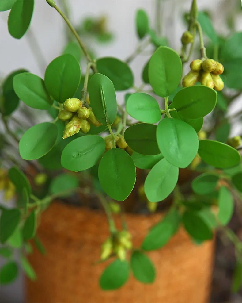 Plante artificielle | NoraPachy™ - SC Jardin