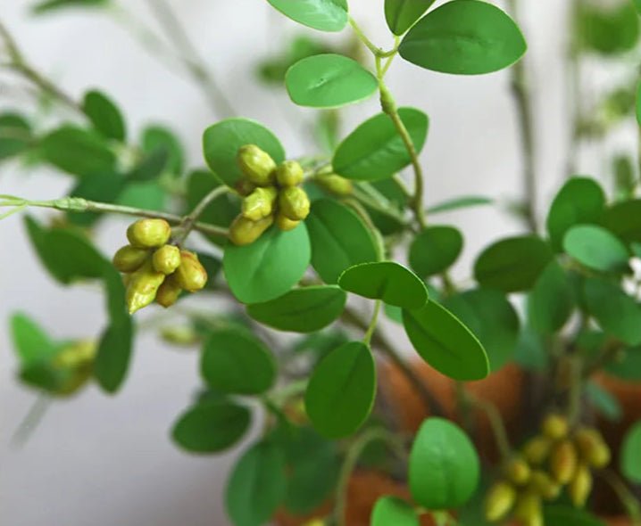 Plante artificielle | NoraPachy™ - SC Jardin