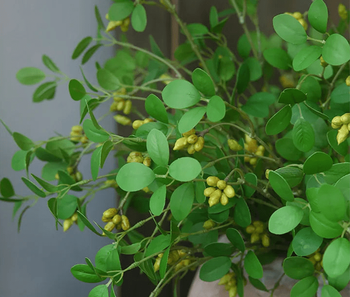 Plante artificielle | NoraPachy™ - SC Jardin