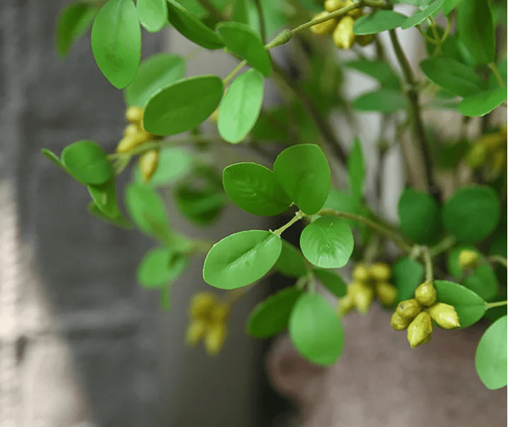 Plante artificielle | NoraPachy™ - SC Jardin