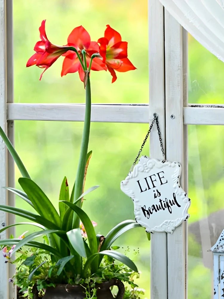 Plaque de porte | BeautyLife™ - SC Jardin