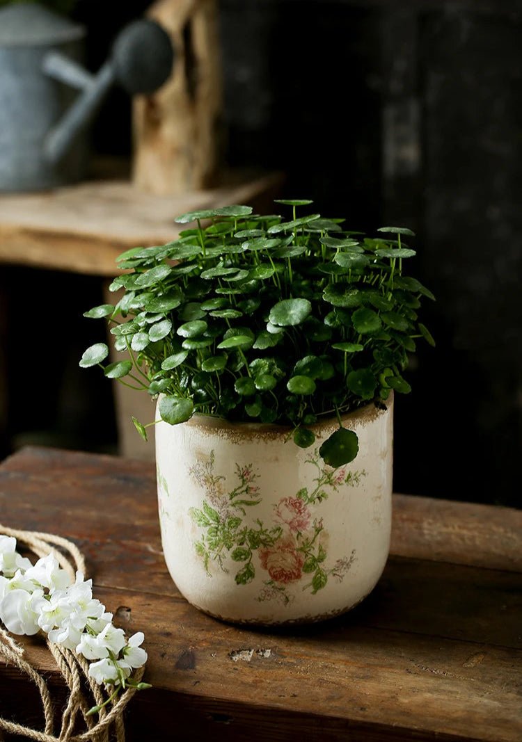 Pot de fleur | CharlesVintagePot™ - SC Jardin