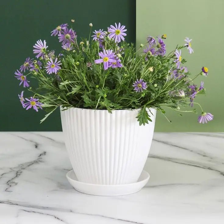 Pot de fleur | Elegant™ - SC Jardin