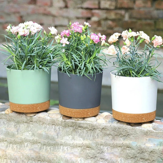 Pot De Fleur | MixedColorsFlowerPot™ - SC Jardin