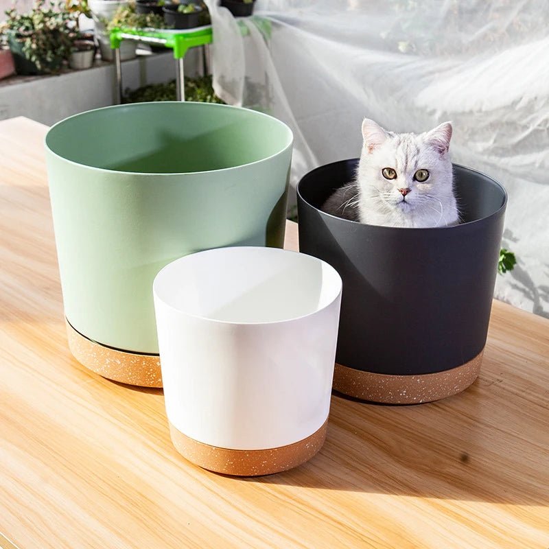 Pot De Fleur | MixedColorsFlowerPot™ - SC Jardin