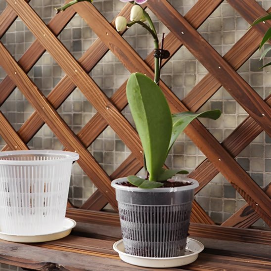 Pot de fleur | OrchidDanae™ - SC Jardin