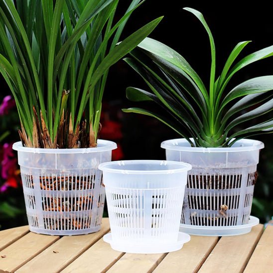 Pot de fleur | OrchidDanae™ - SC Jardin