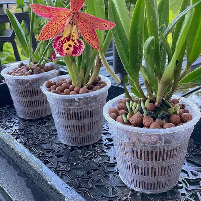 Pot de fleur | OrchidDanae™ - SC Jardin
