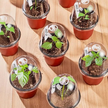 Pot de fleur | PlantNurseryPots™ - SC Jardin