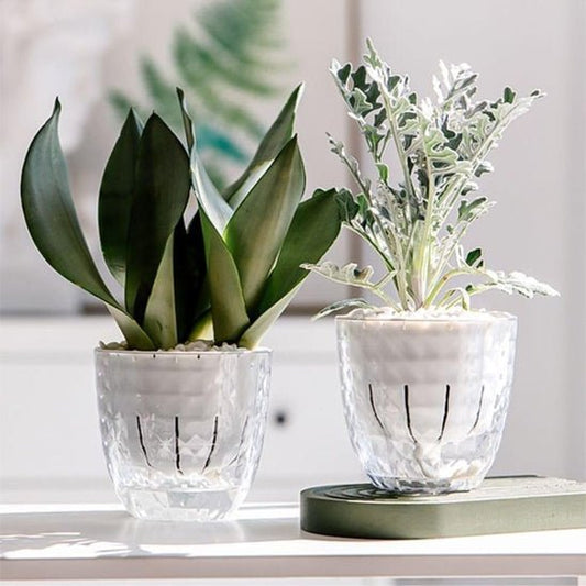 Pot de fleur | SelfWateringDiamond™ - SC Jardin
