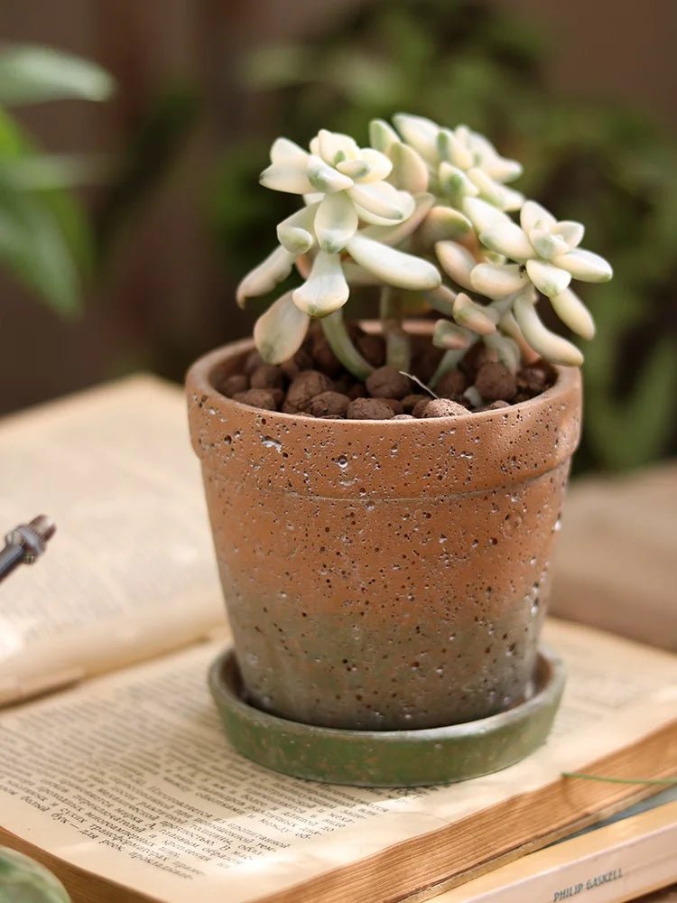 Pot de fleurs | Henry™ - SC Jardin