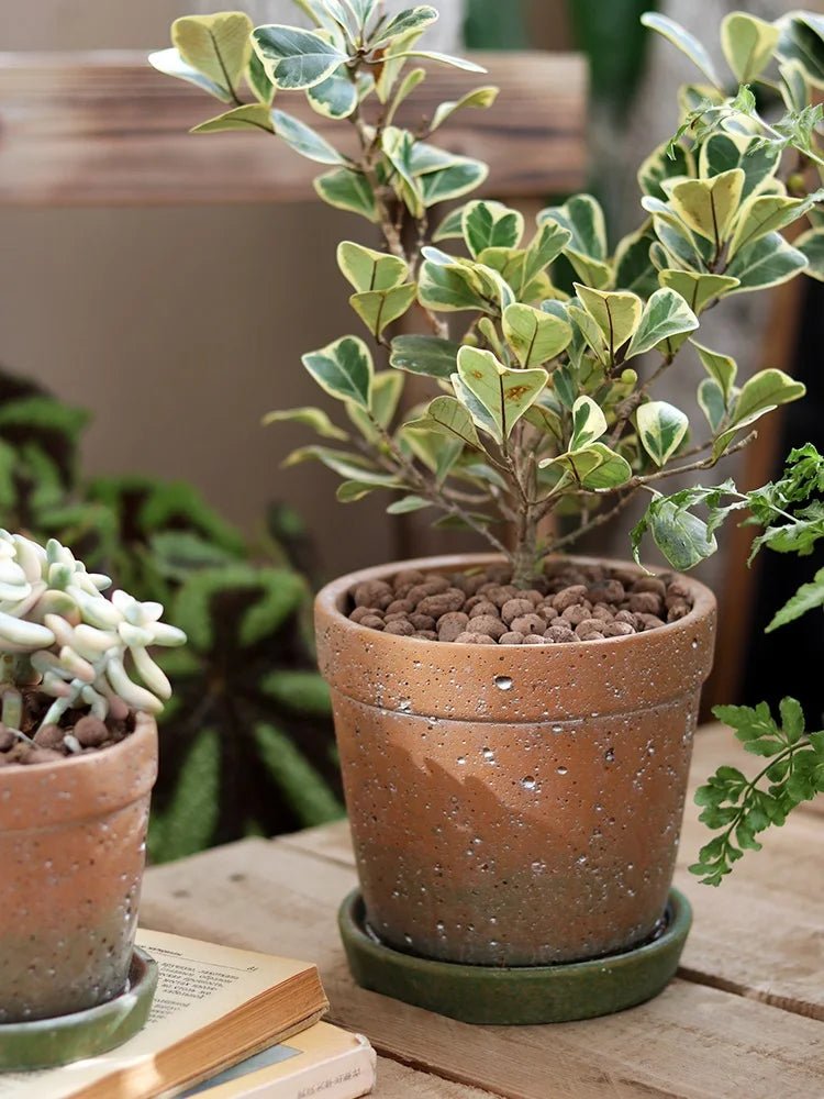 Pot de fleurs | Henry™ - SC Jardin