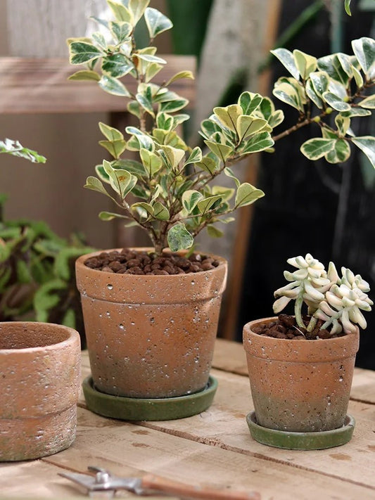 Pot de fleurs | Henry™ - SC Jardin