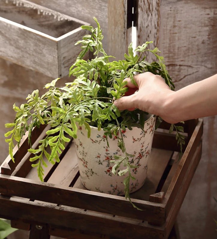 Pot de fleurs | JulesVintagePot™ - SC Jardin