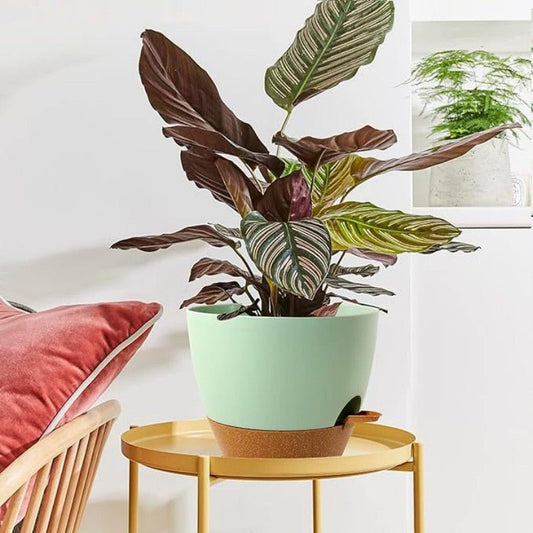 Pot de fleurs | Mohcine™ - SC Jardin