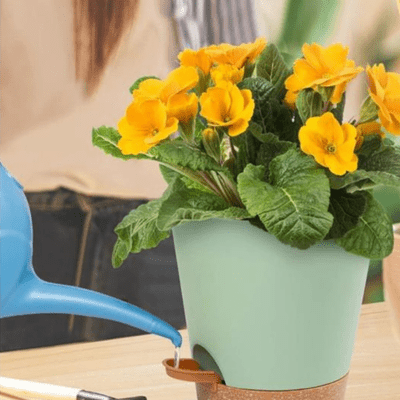 Pot de fleurs | Mohcine™ - SC Jardin