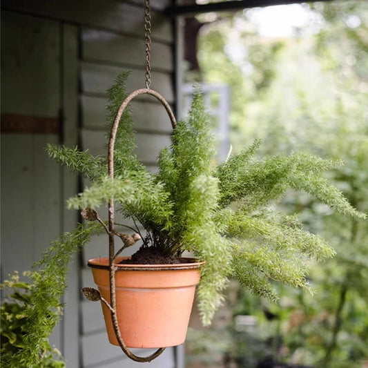 Pot de plante suspendu Romy a