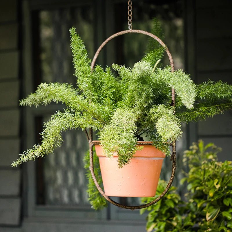 Pot de plante suspendu Romy b