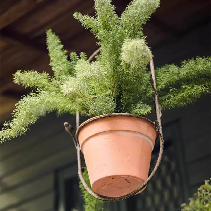 Pot de plante suspendu Romy c