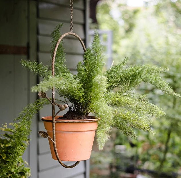 Pot de plante suspendu Romy j