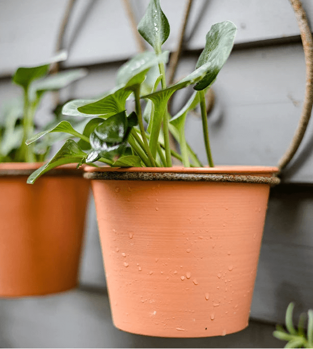 Pot de plante suspendu Romy l