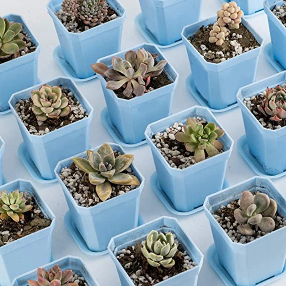 Pots de fleurs | MultiSeedlingPot™ - SC Jardin