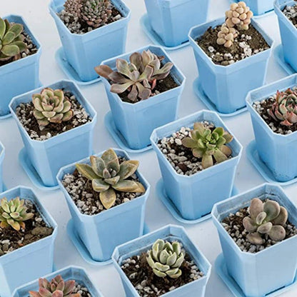 Pots de fleurs | MultiSeedlingPot™ - SC Jardin