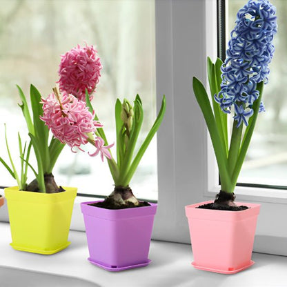 Pots de fleurs | MultiSeedlingPot™ - SC Jardin