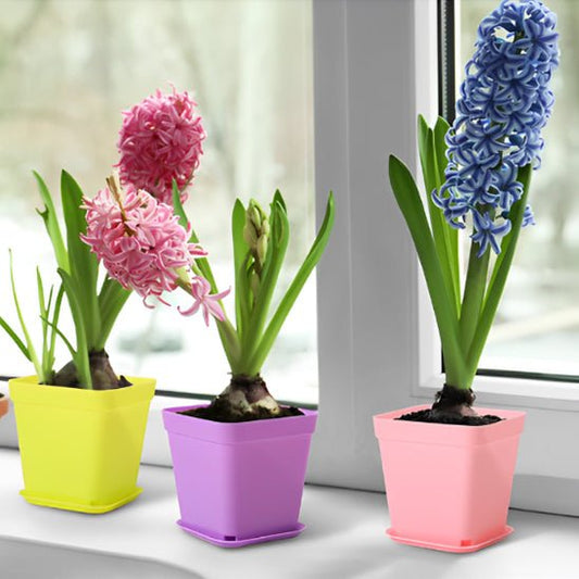Pots de fleurs | MultiSeedlingPot™ - SC Jardin