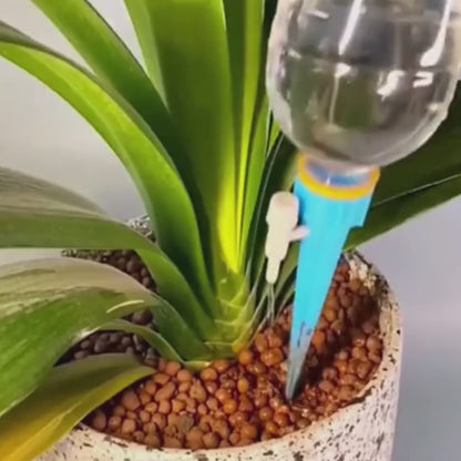 arrosage goutte a goutte bleu vert b