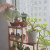 Elephant Shape Plastic Watering Can
