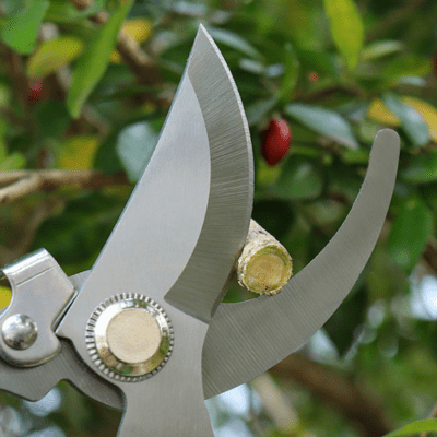 Sécateurs | KelyanPruning™ - SC Jardin