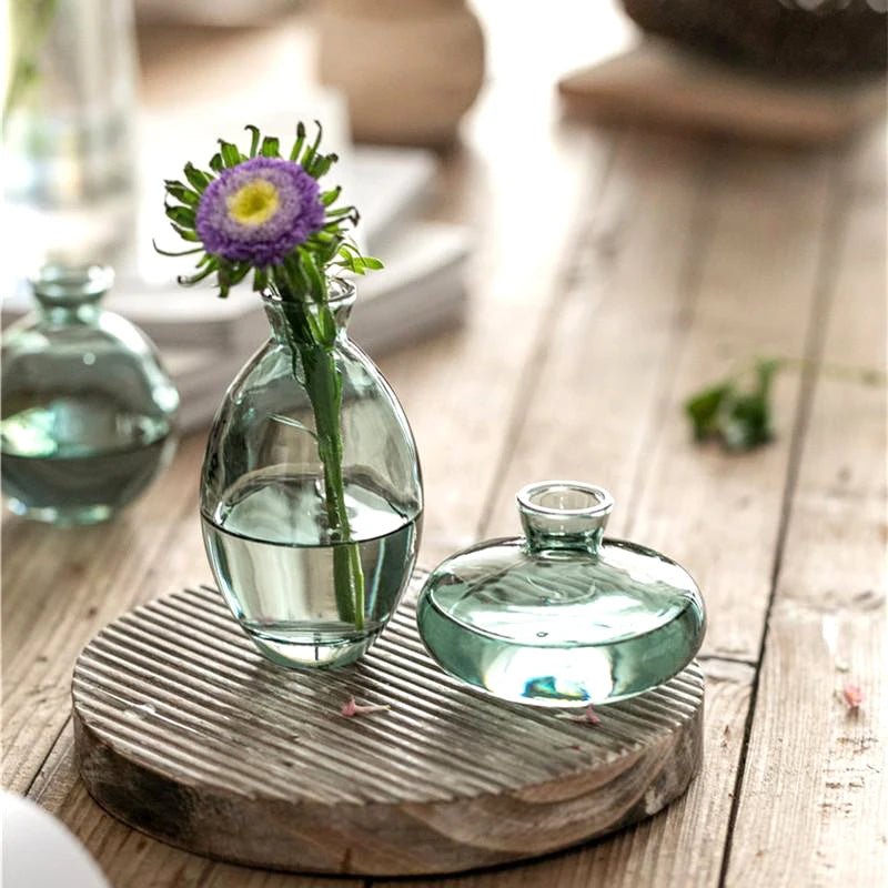 Vase en verre rétro Transparent - SC Jardin
