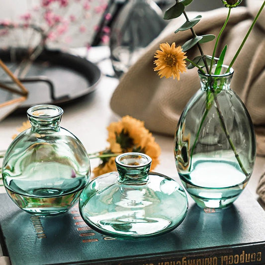 Vase en verre rétro Transparent - SC Jardin